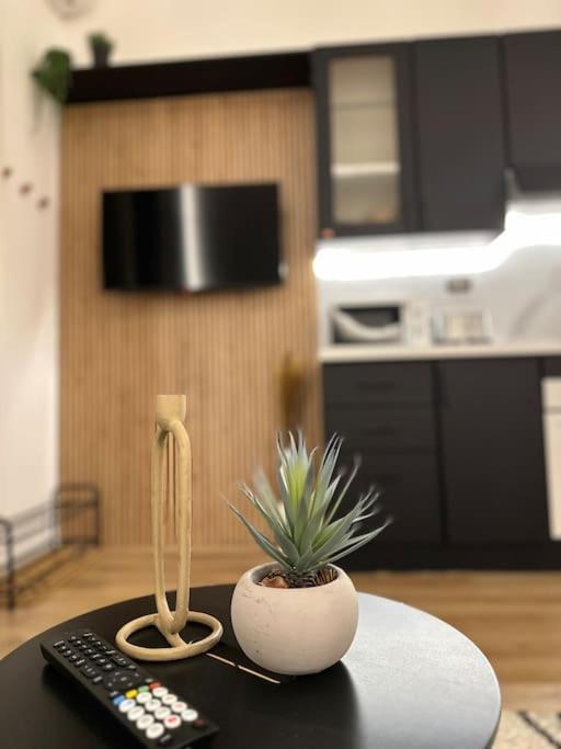 La Casa Di Marlu - Gorgeous Flat In Catania Centre Apartman Kültér fotó